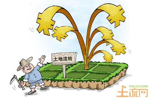土地承包经营权确权给非本集体成员要受什么处