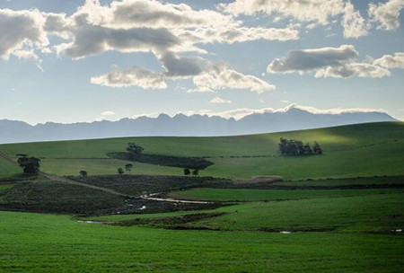 内蒙古阿拉善左旗草原生态保护补助奖励机制实施办法