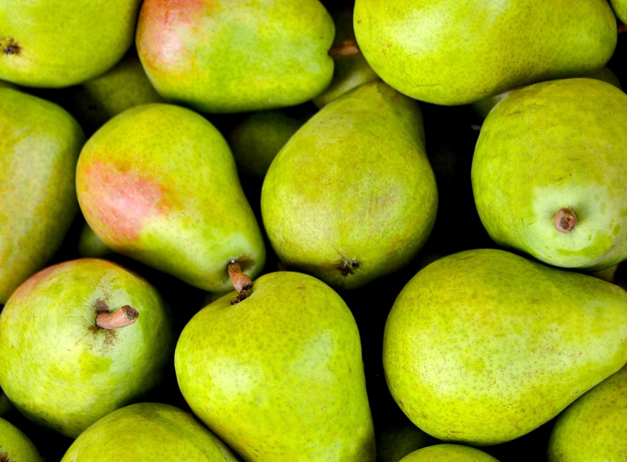 梨子的品种有哪些?哪种止咳效果好?如何挑选?