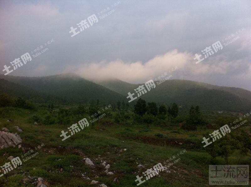 江苏徐州铜山吕梁风景区200亩山地转包