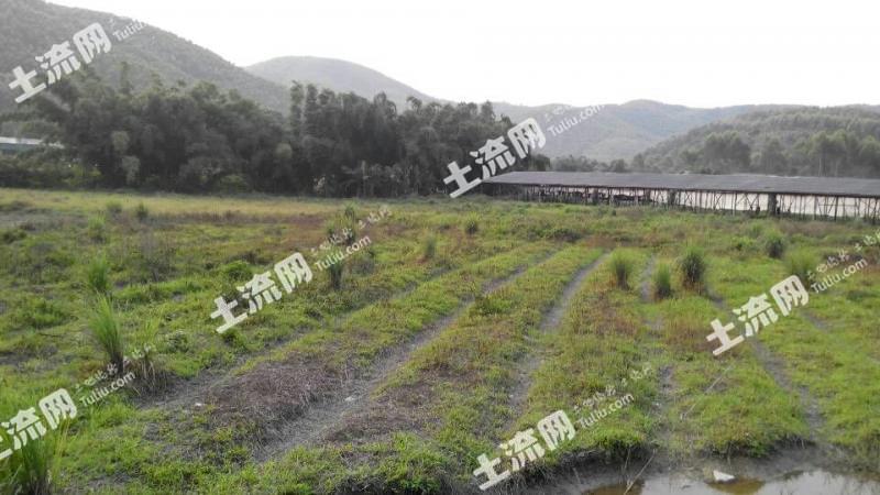 20亩 家庭农场 低价转让(可种养结合)