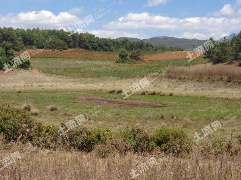大理剑川县 3000亩 有林地 (含草地,耕地)转让
