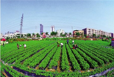 分析:农村土地集体所有制是否在向'过时'方向发