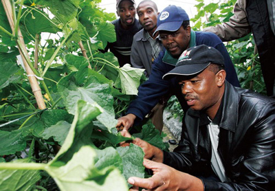 南非农业保险、生产流通政策