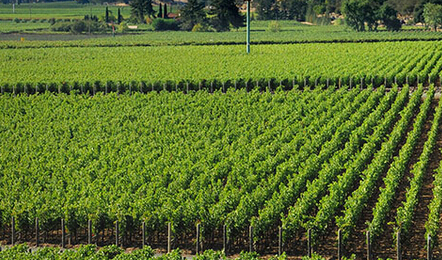 匈牙利土地政策和农业资源概况