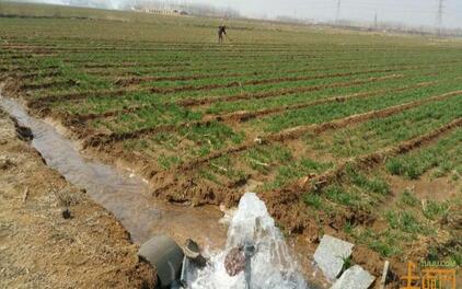 我國旱地、濕地、園林魚塘是否屬于耕農用地?