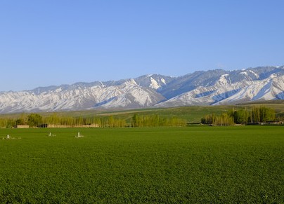 关于《国家土地督察条例》公开征求意见的通