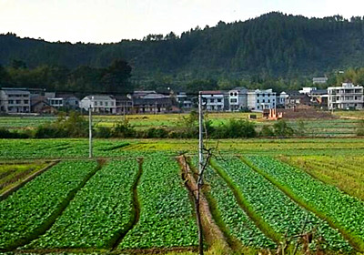 江山市现代农业发展“十三五”规划(2016—2020) 上