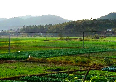 江山市现代农业发展“十三五”规划(2016—2020) 下