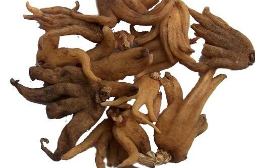 西藏有名的土特产有哪些呢?