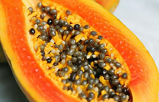 木瓜种植与收获时间是什么时候?木瓜可以加工