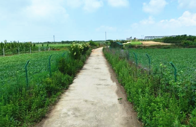 2017年农业支持保护补贴(三项补贴)面积公示(