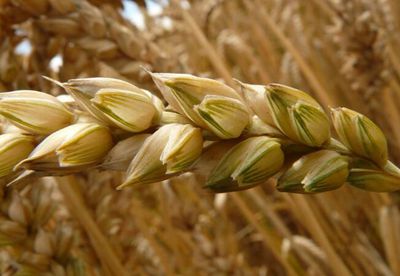 国家对农民工的政策有哪些?2017农民工享受的