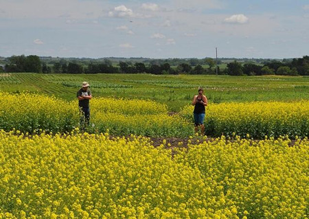 福建省南安市石井镇2016年良种补贴标准为多