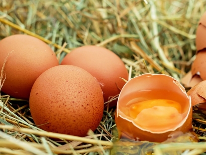 2017年鸡蛋价格行情预测:鸡蛋价格跌破2元,养