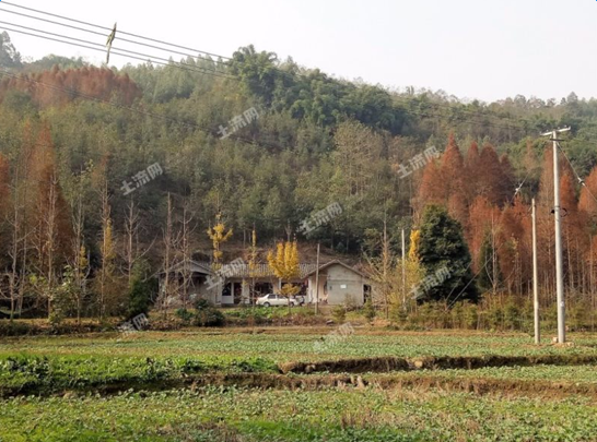 湖北林地