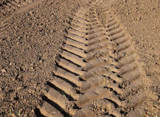 外嫁女是否享有土地承包经营权?