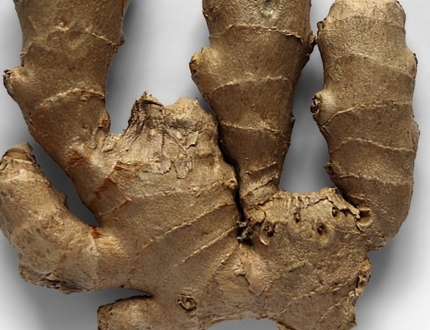 常见调味品生姜什么时候种植最好?最佳收获期