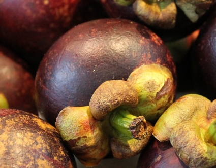 现在山竹多少钱一斤?主要产地在哪里?