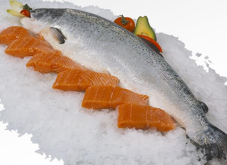 三文鱼多少钱一斤?三文鱼的市场价格及最新消