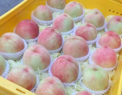 水蜜桃一般几月成熟?什么时候上市?多少钱一