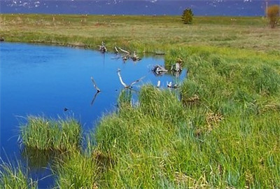 两部门:机构农户小额贷款利息收入免征增值税