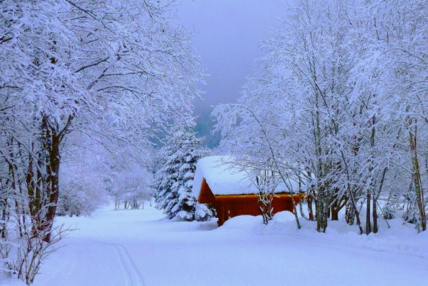 雪花的形状像什么?有什么诗意的名字?用处都