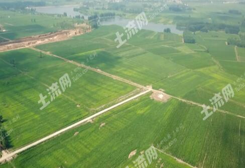 第二轮土地承包到期后再延长三十年!中国农民