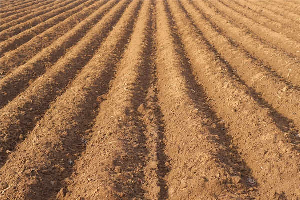 目前实施的《土地管理法》是哪年发布的?新的