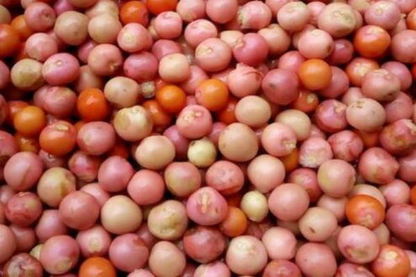 芡实产地在哪里?哪里的最好?营养价值有哪些