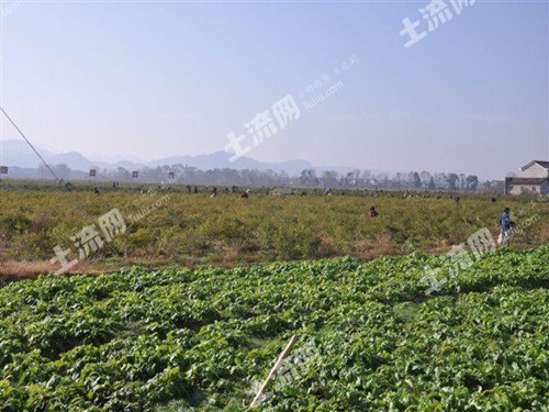 2018年浏阳市土地改革试点推新政策:宅基地可