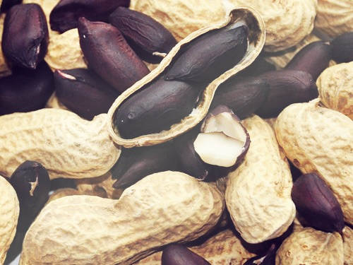 黑花生是转基因食品吗?哪里的特产?2018年多