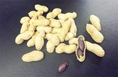 黑花生是转基因食品吗?哪里的特产?2018年多