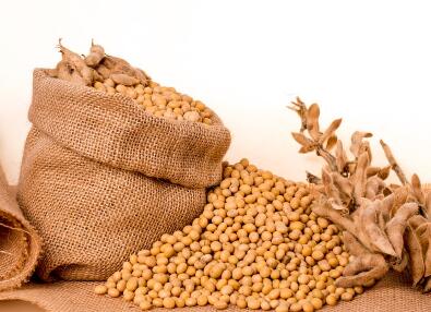 2018大豆补贴新政策:每亩补贴多少钱?