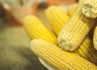 2018年黑龙江省玉米补贴政策最新消息