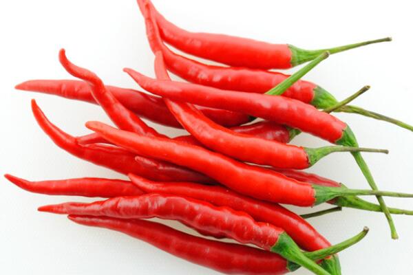 种植的朝天椒什么时候收获?为什么朝天长?开