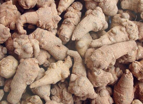 多年生草本植物三七头数是什么意思?怎么计算