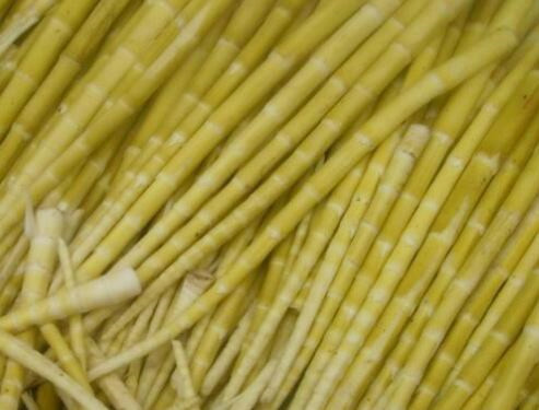 方竹笋价格多少钱一斤?怎么吃?有哪些功效及