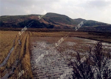 2018土地确权后,如果老人去世,子女可以继承土