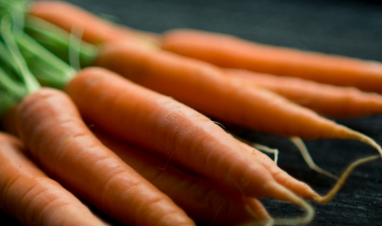 耐寒性优的胡萝卜种植时间和方法是什么?需要