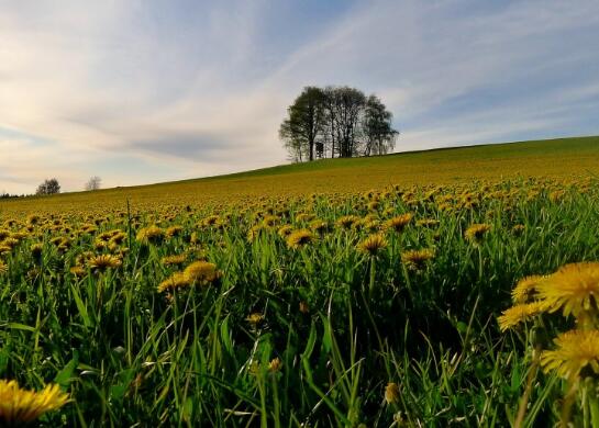 2018年最新中央财政支农资金来了!国家重点扶