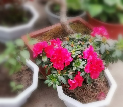 2018年农村创业做什么风险低又能赚钱?强烈推