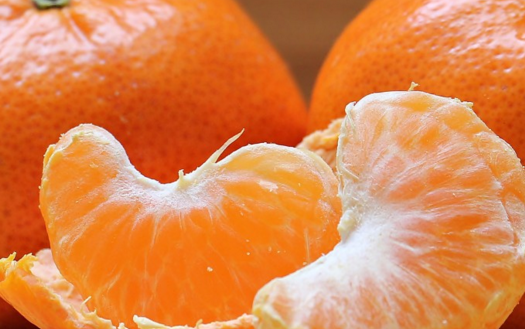 芸香科芦柑和橘子的区别是什么?哪个更好?有