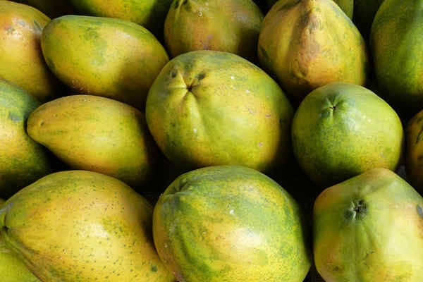 多年生草本植物番木瓜市场价多少钱一斤?是什