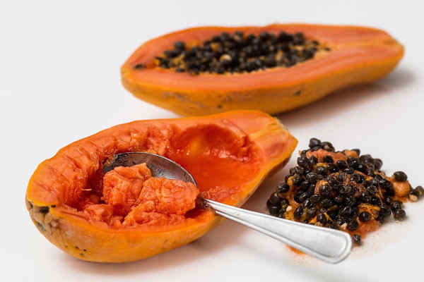 多年生草本植物番木瓜市场价多少钱一斤?是什