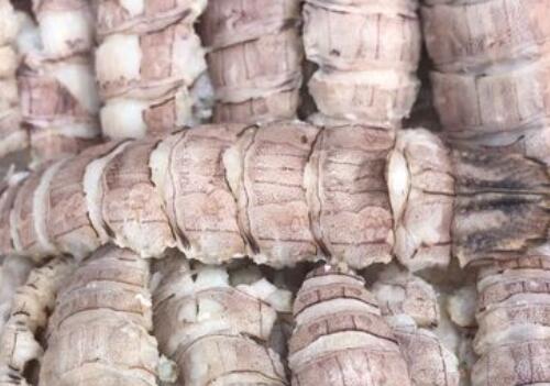 武汉皮皮虾市场价格多少钱一斤?和富贵虾一样