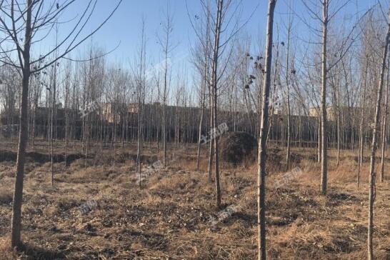 失败的土地流转案例 从老板到打工者 流转土地投资农业的经验教训总结 土流网