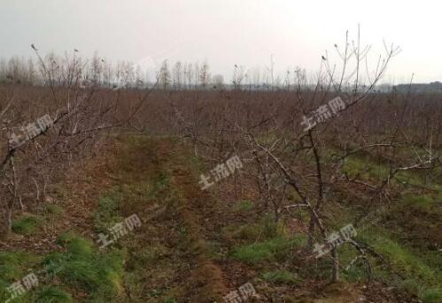 失败的土地流转案例 从老板到打工者 流转土地投资农业的经验教训总结 土流网