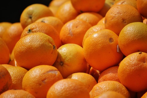 柑橘属芦柑市场价多少钱一斤?什么时候成熟上