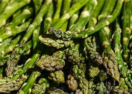 天门冬科芦笋的做法有哪些?有什么功效与作用